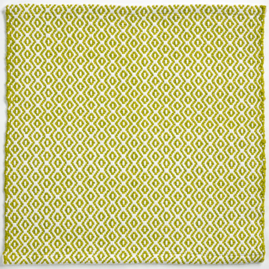 Cata-Algae, Crosby Street Studios