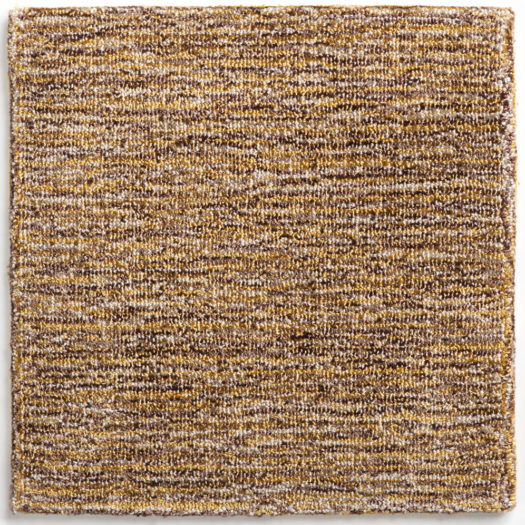 Zebra-Autumn, Crosby Street Studios