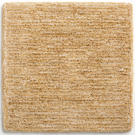 Zebra-Golden, Crosby Street Studios