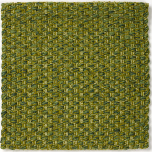 CSS_Wellfleet-Sprout_SAM