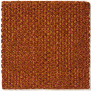 CSS_Wellfleet-Tulip_SAM