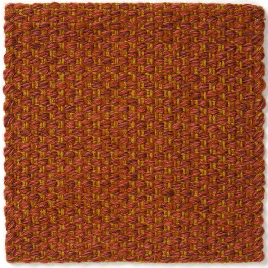 CSS_Wellfleet-Tulip_SAM