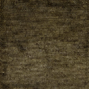 CSS_HK_Essentials_Niya_Hazel_SAM