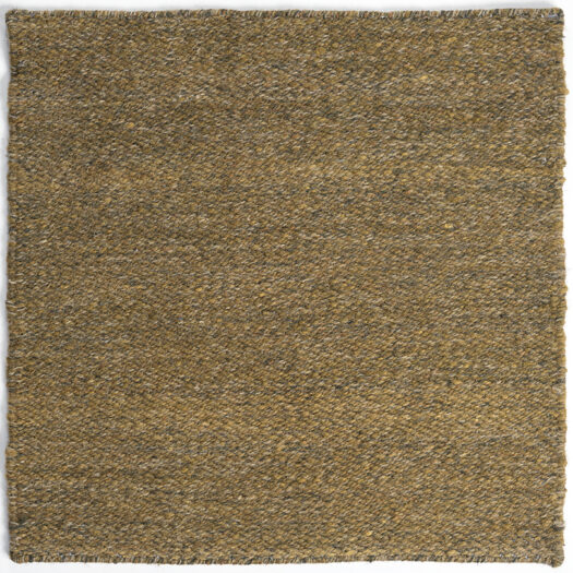 CSS_Namche_Brown_SAM