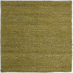 CSS_Namche_Olive_SAM