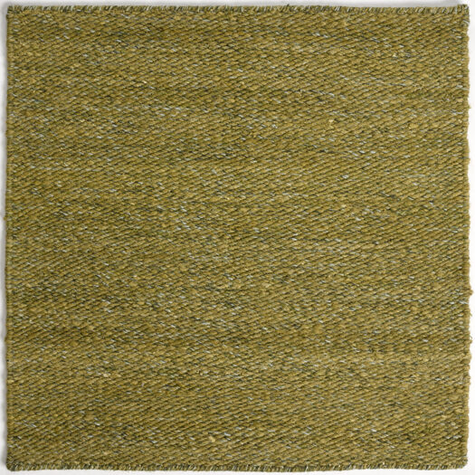 CSS_Namche_Olive_SAM