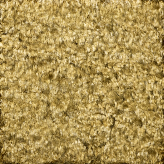 CSS_Kerala_Moss_SAM10x10