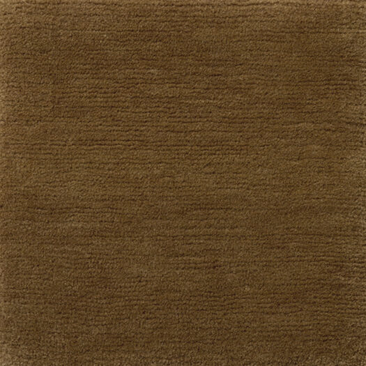 CSS_Manali_Doe_SAM10x10