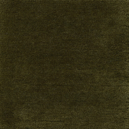 CSS_Manali_Toad_SAM10x10