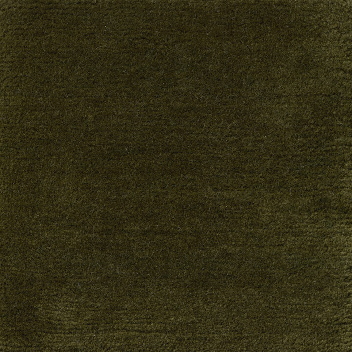 CSS_Manali_Toad_SAM10x10