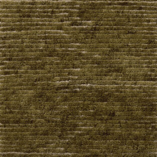 PHEWA-LICHEN