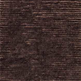 PHEWA-PRUNE