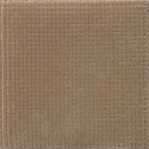 CSS_Surrey_Morel_SAM10x10