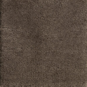 CSS_Vik_Beaver_SAM10x10